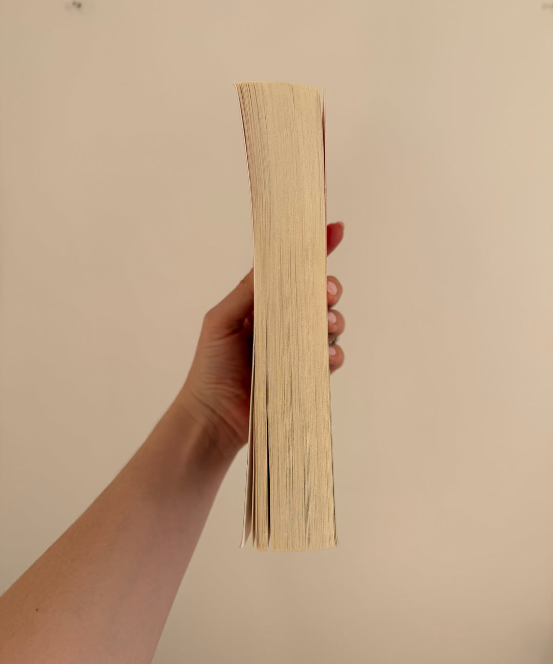 Loved-by-Lilli-Second-Hand-Books-Horse--A-Novel-by-Geraldine-Brooks-3.jpg