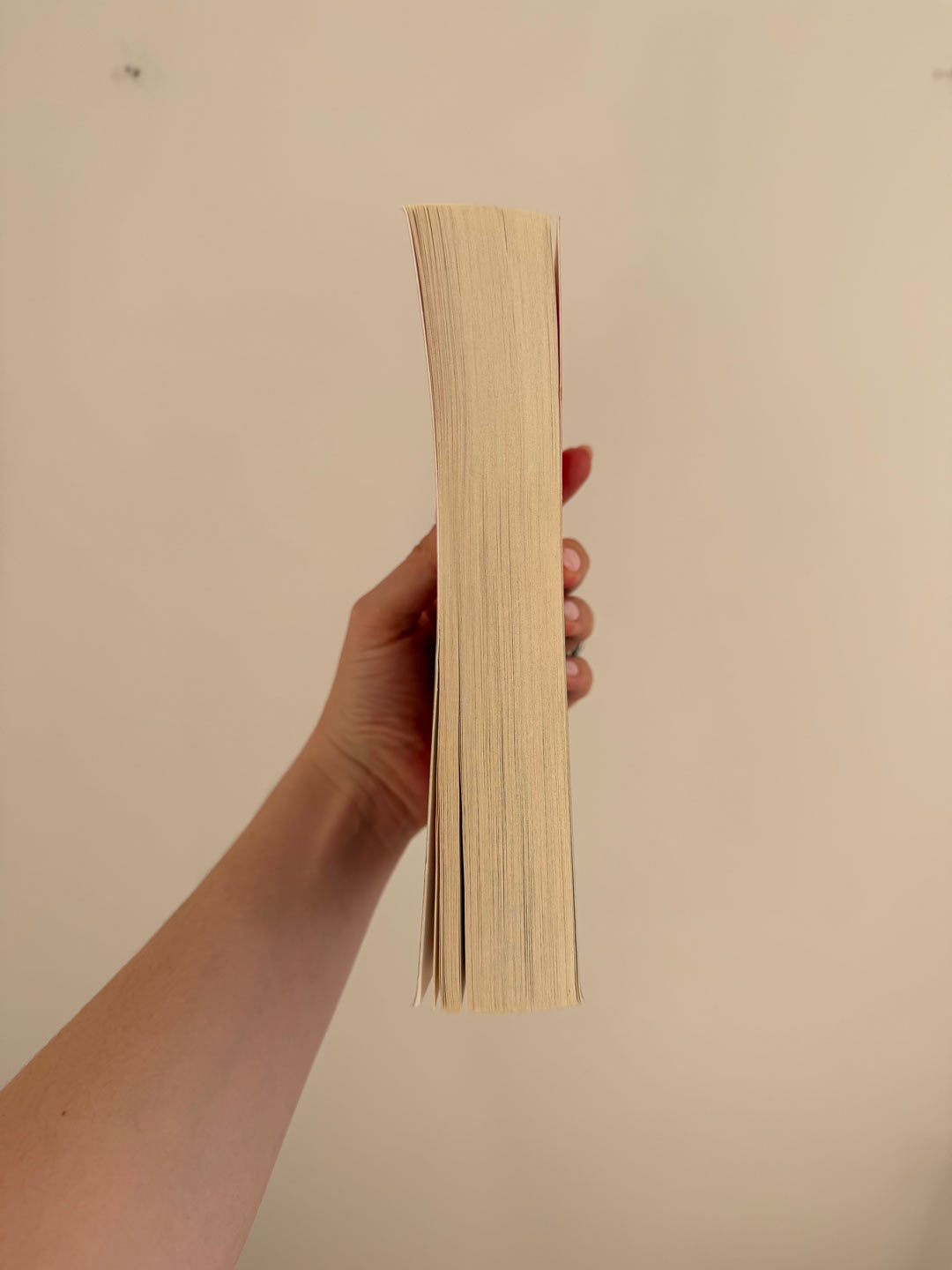 Book: Horse: A Novel by Geraldine Brooks